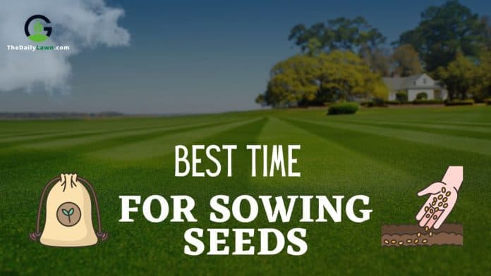 Best Time for Sowing Seeds