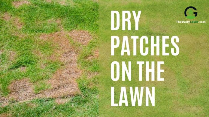 Dry Patches on the Lawn