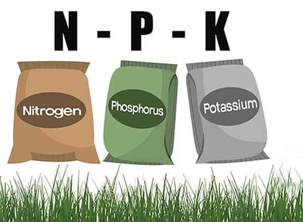 NPK, choose the right lawn fertilizers