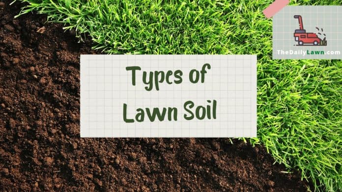 Types of Lawn Soil