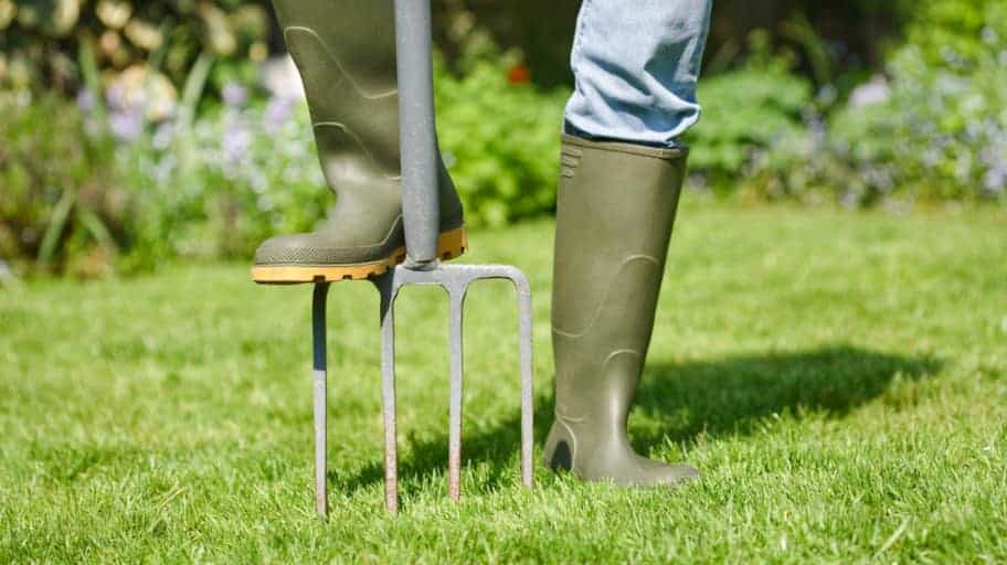 Aerating the Lawn, summer lawn care tips
