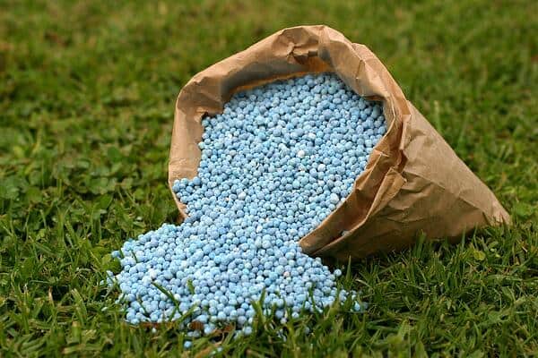 lawn fertilizer granules
