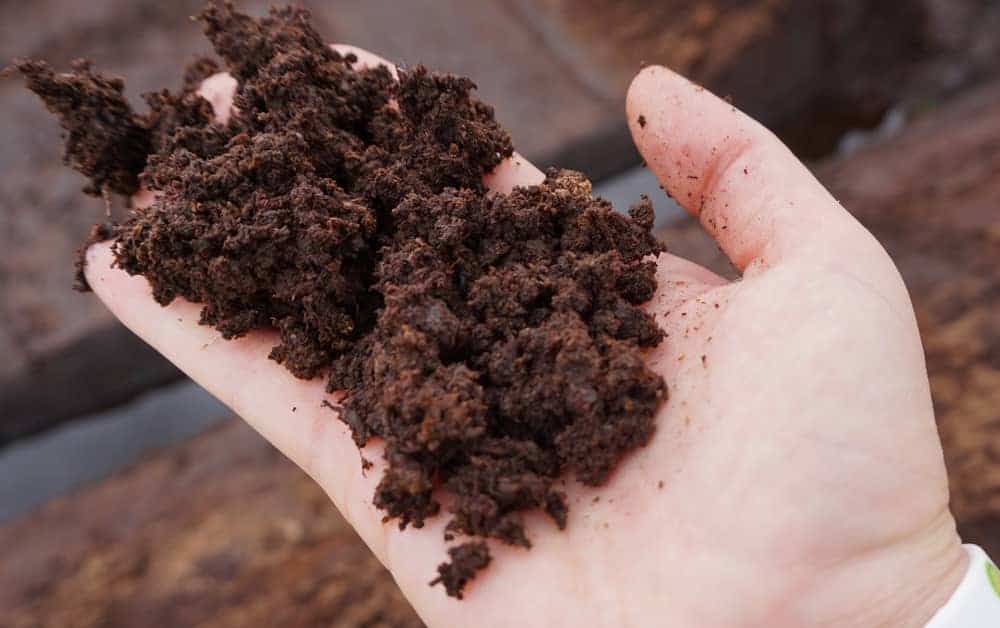 Peat soil, types of lawn soil