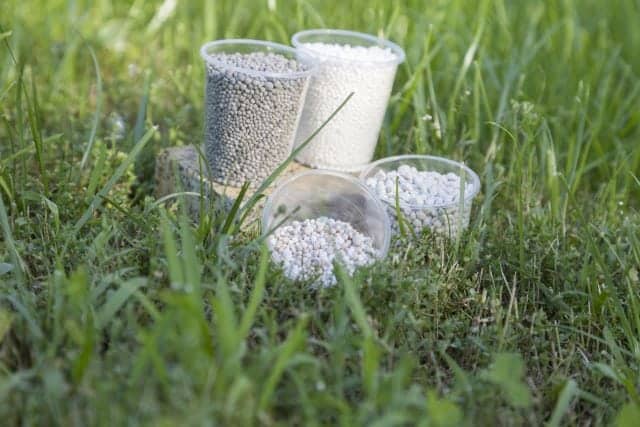 Applying Inappropriate Fertilizer, lawn care mistakes