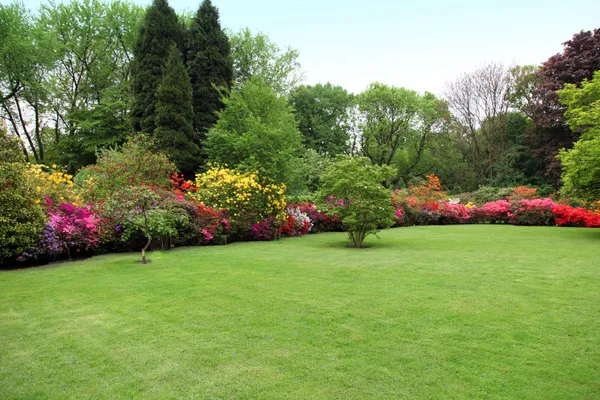 Most Effective Tips for A Beautiful Lawn