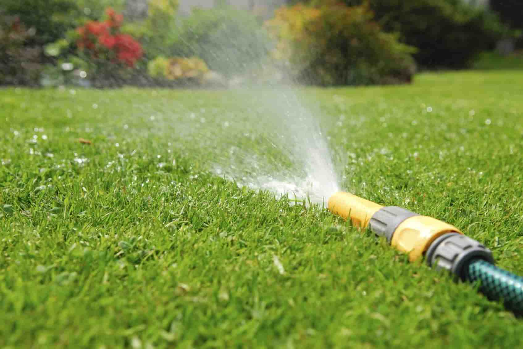 schedule watering, protect the lawn in winter