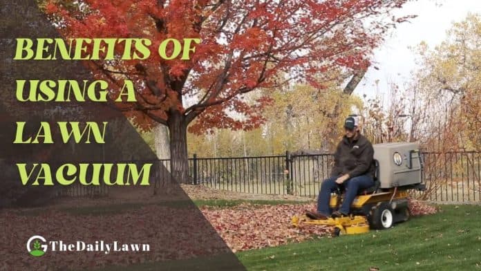 Benefits of A Lawn Vacuum