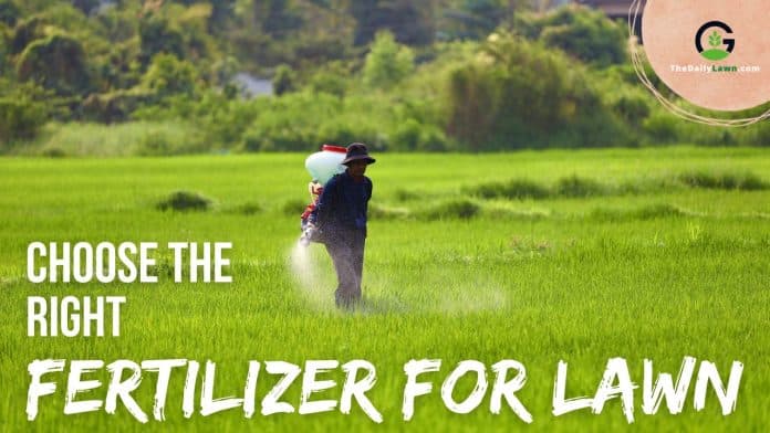 Choose the Right Lawn Fertilizers