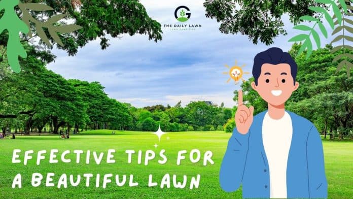 Effective Tips for A Beautiful Lawn