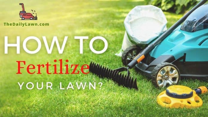 How to Fertilize Your Lawn