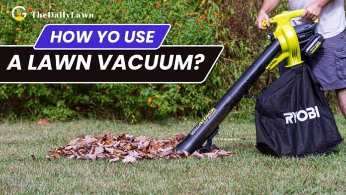 How to Use a Lawn Vacuum Learn to Keep Your Lawn Clean