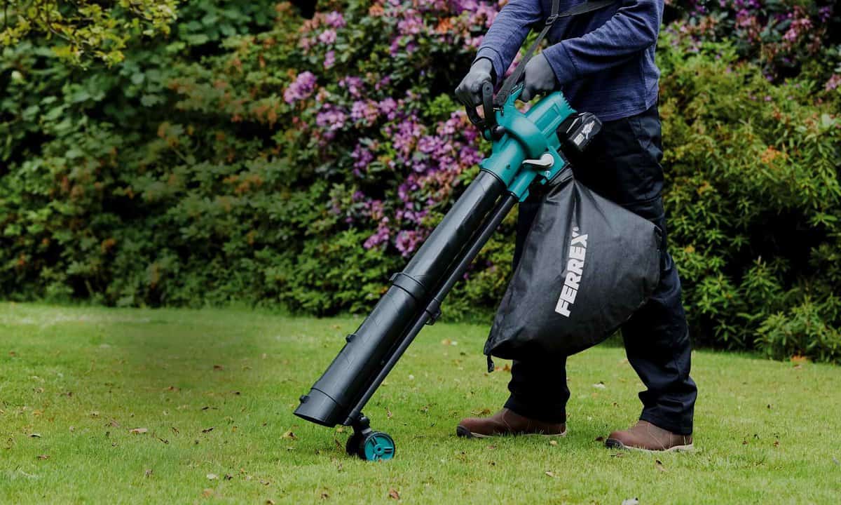 Is Lawn Vacuum Safe for Grasses 
