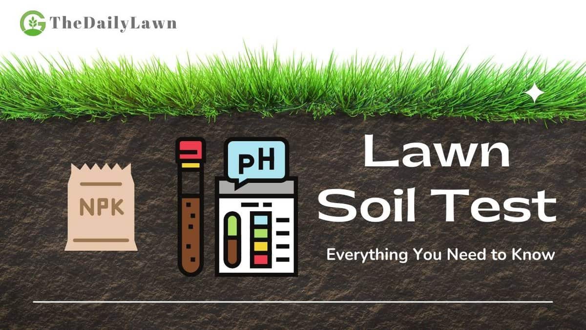 Lawn Soil Test