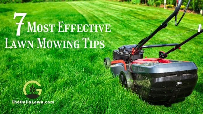 Most Effective Lawn Mowing Tips