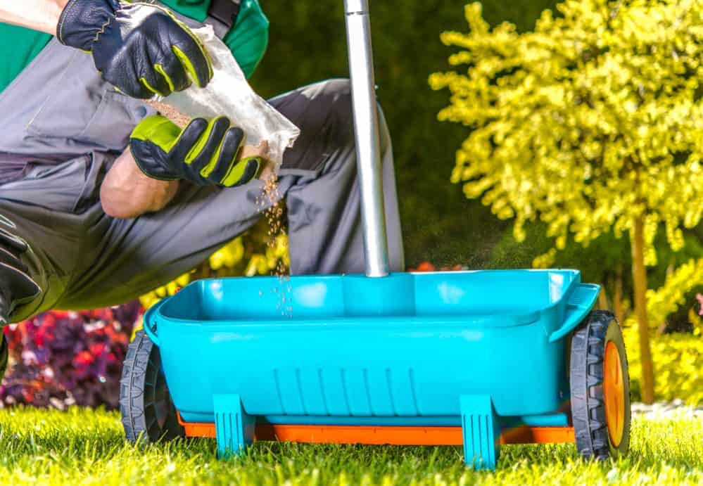 Choosing the Best Fall Lawn Fertilizers