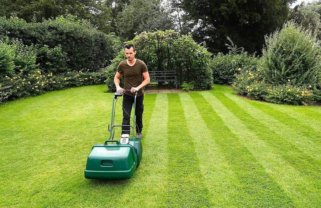 Self-propelled lawn mowers