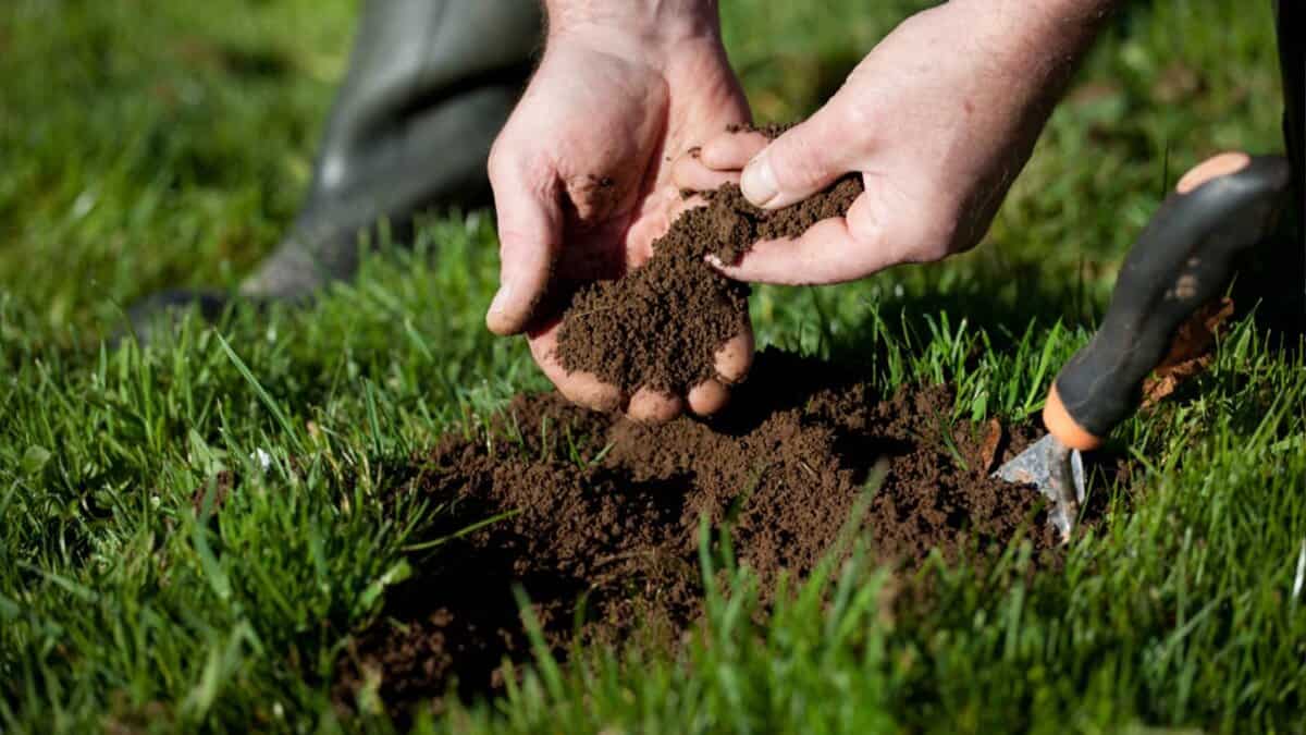 When should you do a soil test?