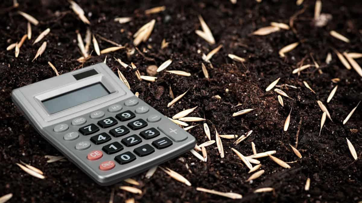 Calculate Grass Seed