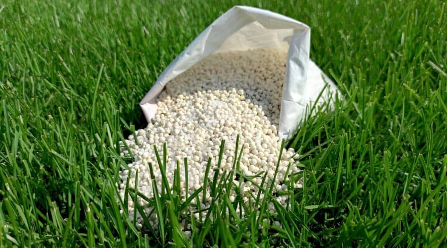 How Much Fertilizer Do You Need for Your Lawn?