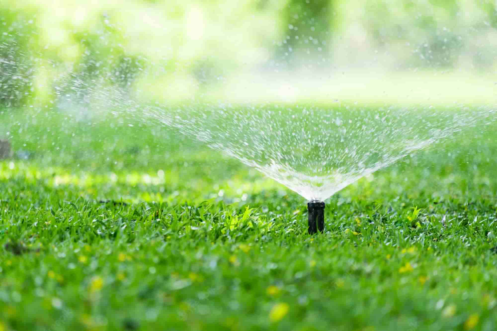 how to set up a water sprinkler