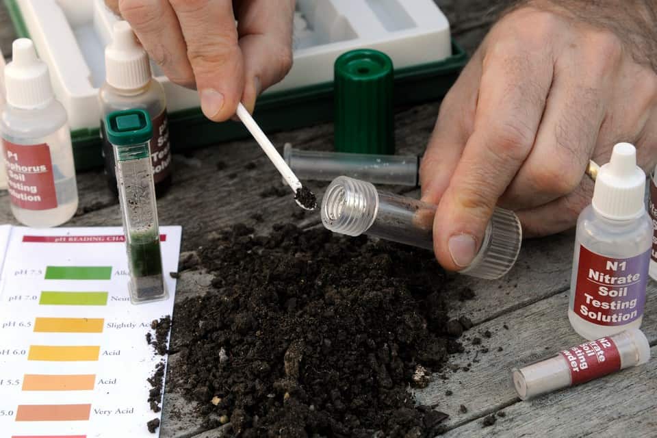 Test the Soil to Choose the Right Fertilizer