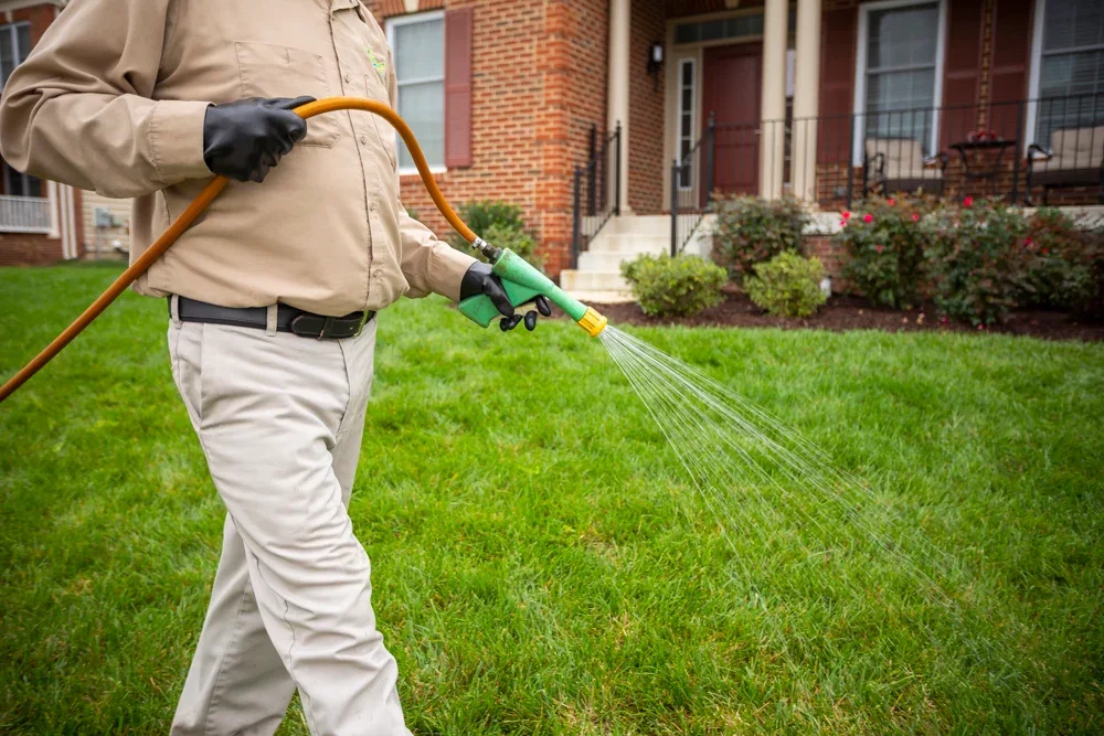 Use Pesticide , Taking care of the lawn while on a vacation