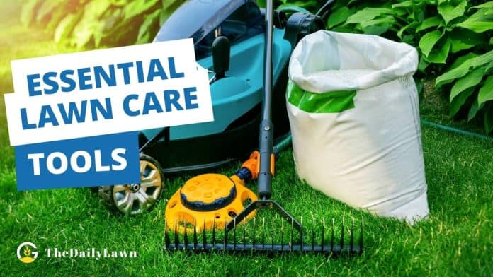 Essential Lawn Care Tools