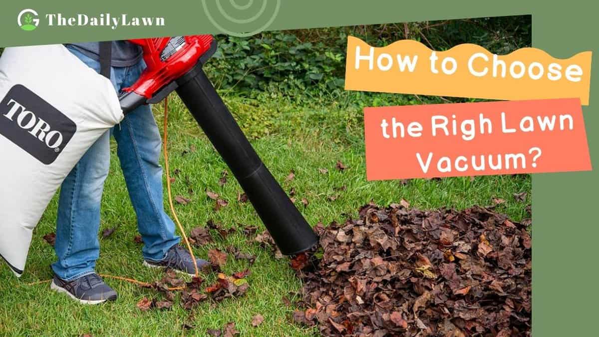 How to Choose the Right Lawn Vacuum