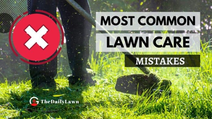 Most Common Lawn Care Mistakes