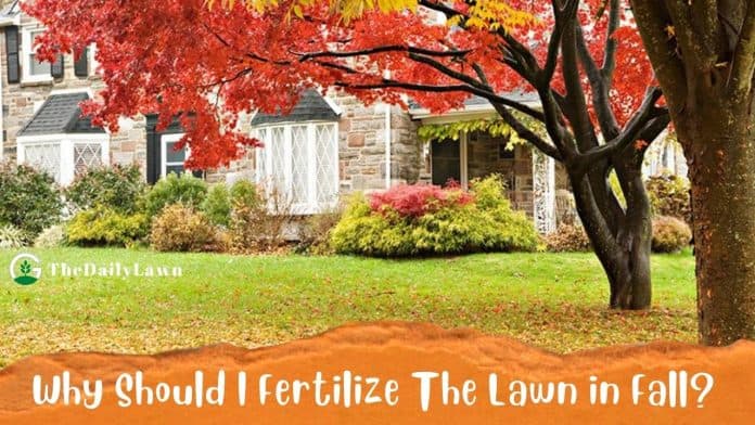 Should I Fertilize the Lawn in Fall