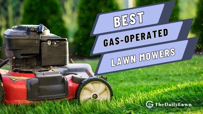Best Gas-operated Lawn Mowers