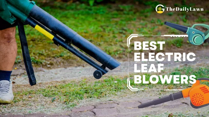 Best_Electric_Leaf_Blowers_to_Keep_Your_Lawn_Clean_