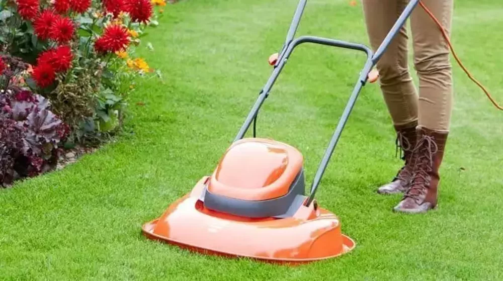 Best Hover Mowers