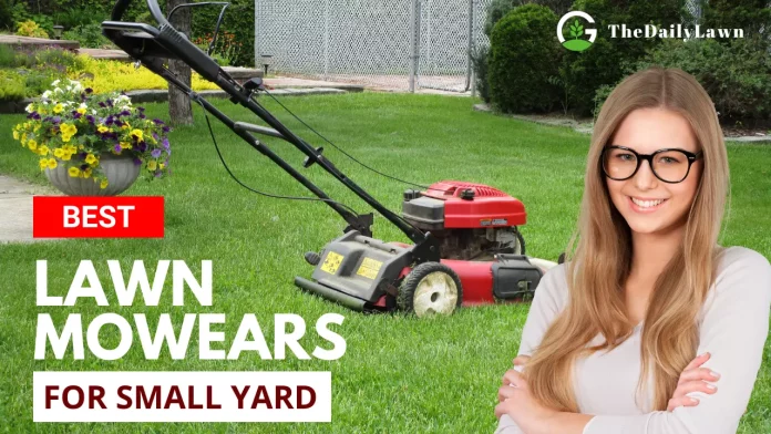 Best_Lawn_Mowers_for_Small_Yard