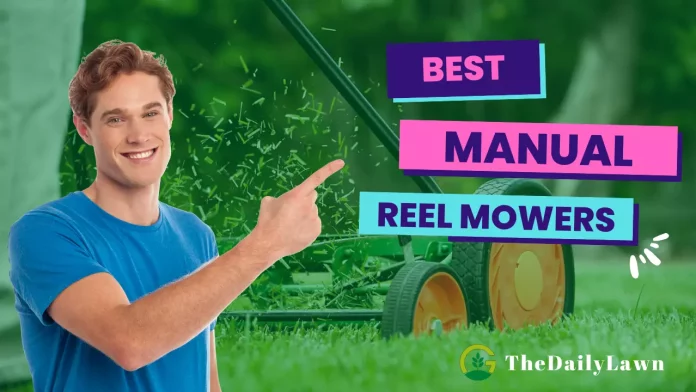 Best_Manual_Reel_Mowers_For_Your_Lawn