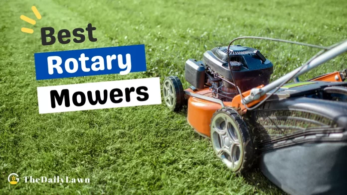 Best_Rotary_Mowers_for_Your_Lawn