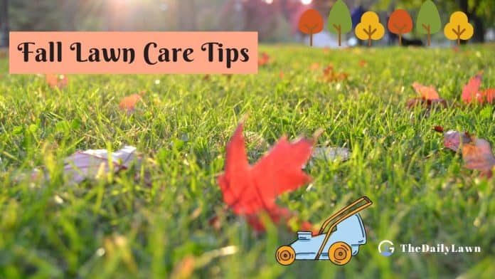 Fall Lawn Care tips