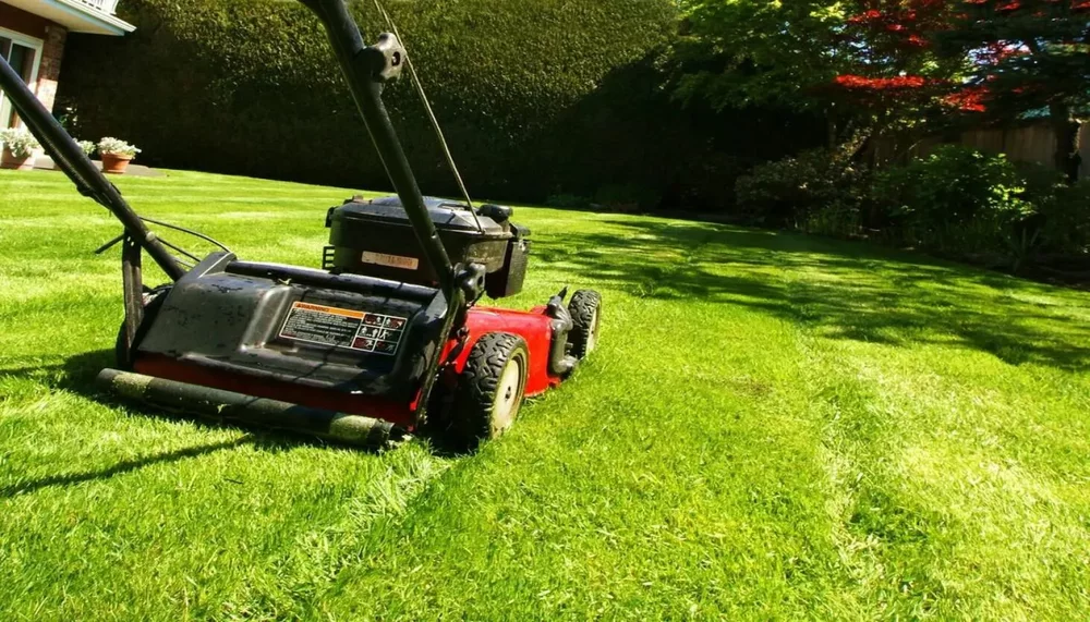 best_self-propelled_lawn_mower_