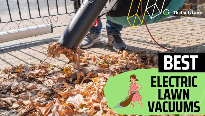 Best_Electric_Lawn_Vacuums_To_Keep_Your_Lawn_Clean