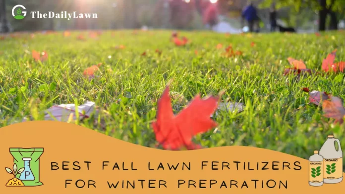Best_Fall_Lawn_Fertilizers
