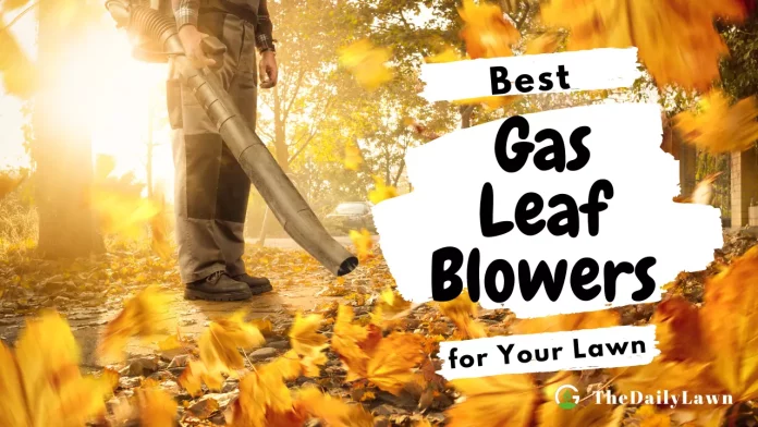 Best_Gas_Leaf_Blowers_For_Your_Lawn