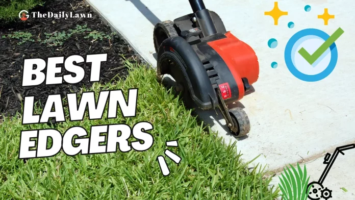 Best_Lawn_Edgers_to_Keep_Your_Lawn_Clean_and_Tidy