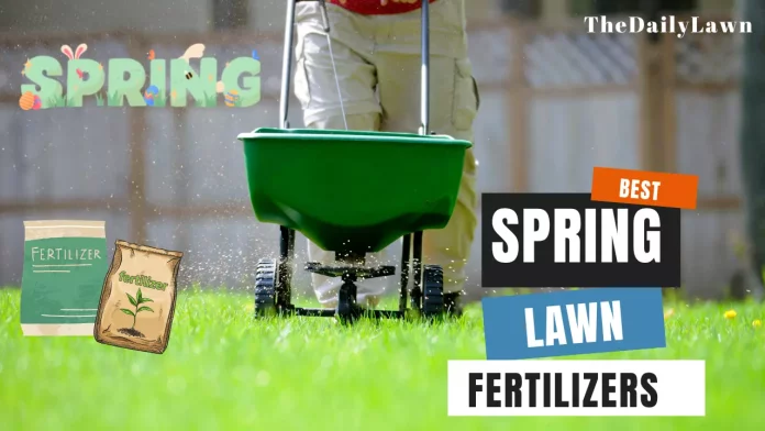 Best_Spring_Lawn_Fertilizers_for_The_Winter_Damage_Revival