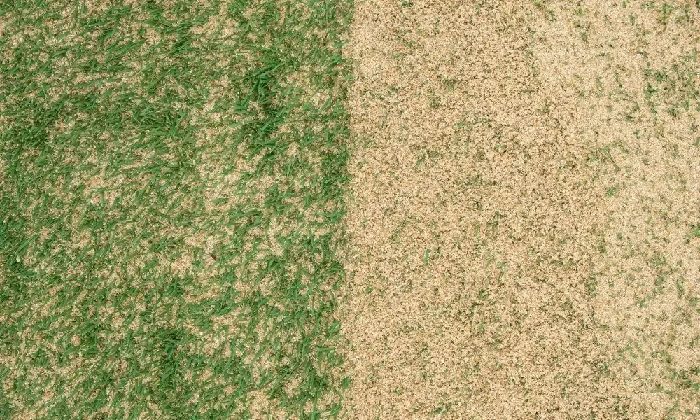 Best Time to Use Sand on the Lawn