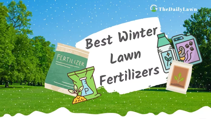 Best_Winter_Lawn_Fertilizers