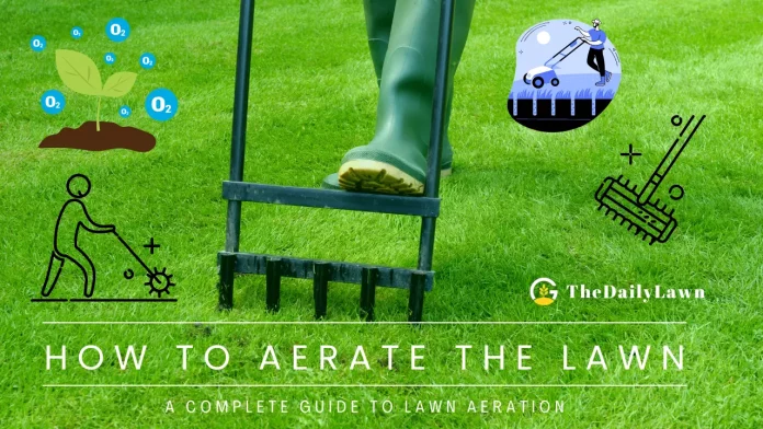 How_to_Aerate_the_Lawn