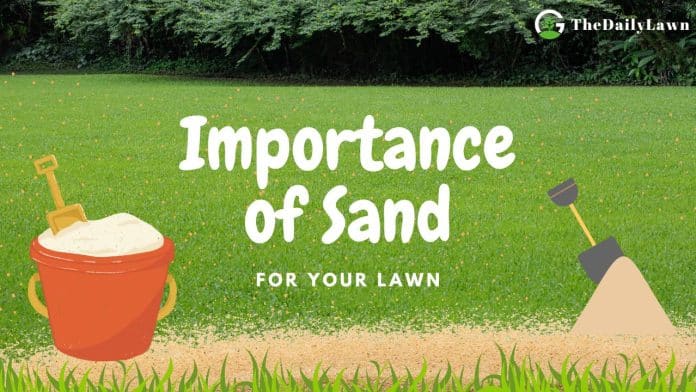 Sand For Lawn - Improve the Lawn Health with Sand