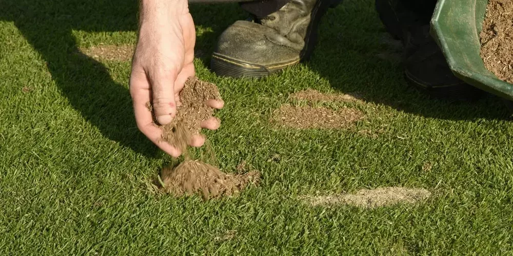 Advantages of Using Sand On Your Lawn