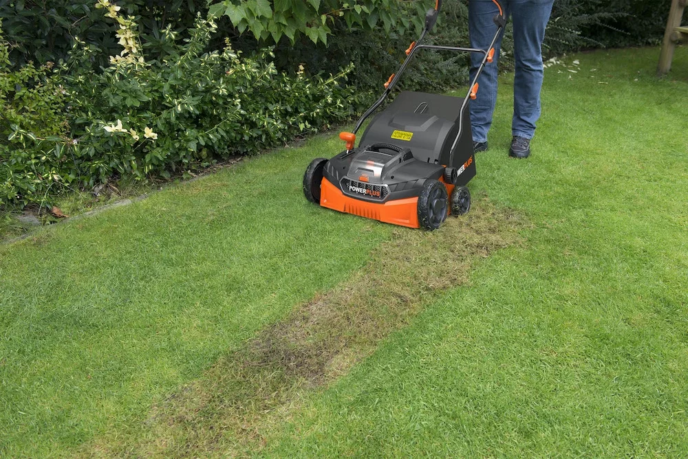 Benefits of Dethatching Your Lawn