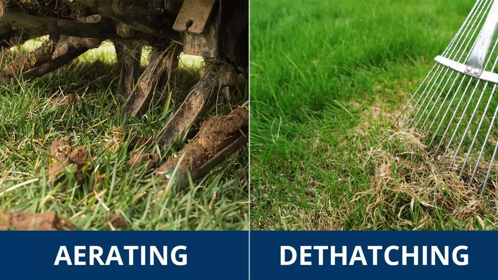 Differences Between a Dethacher and an Aerator